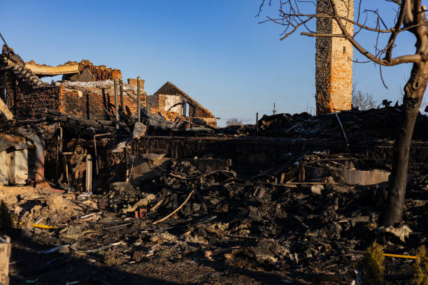 Reliable Fire Damage Restoration contractor in Hamel, MN by Fire Damage Flint